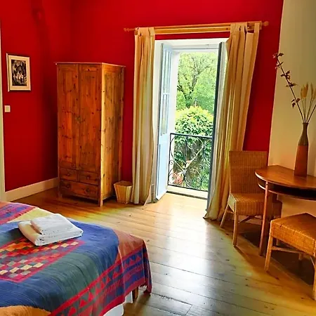 Papilio